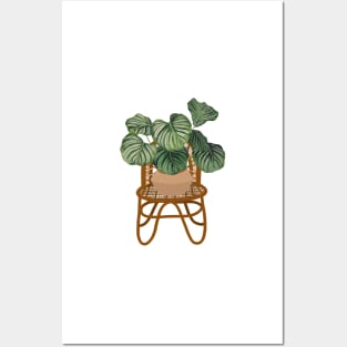 Modern calathea orbifolia plant illustration Posters and Art